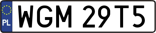 WGM29T5