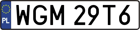 WGM29T6