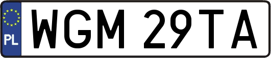 WGM29TA