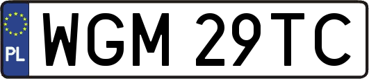 WGM29TC