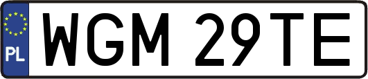 WGM29TE