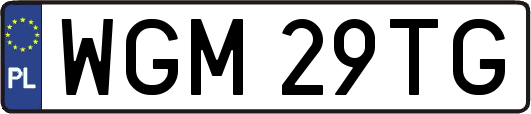 WGM29TG
