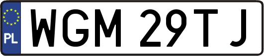 WGM29TJ