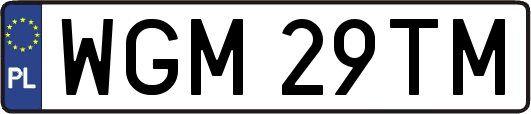 WGM29TM