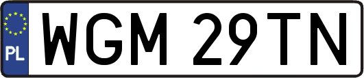 WGM29TN