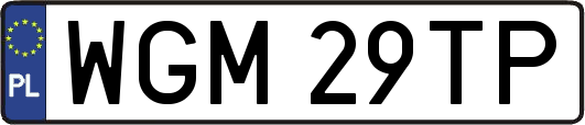 WGM29TP
