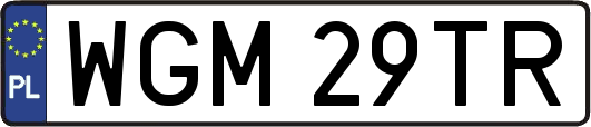 WGM29TR
