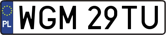 WGM29TU