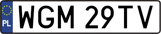 WGM29TV