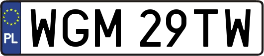WGM29TW
