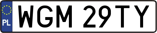 WGM29TY