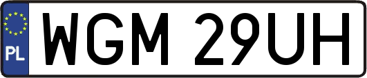 WGM29UH