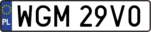 WGM29V0