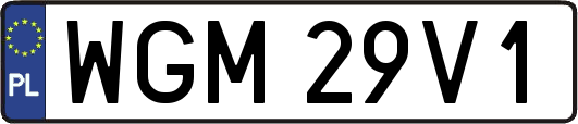 WGM29V1