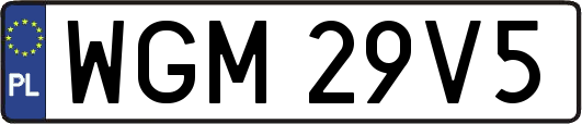 WGM29V5