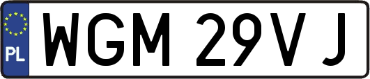 WGM29VJ