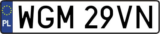 WGM29VN