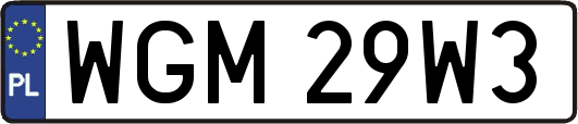 WGM29W3