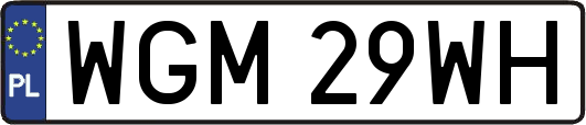 WGM29WH