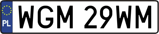 WGM29WM