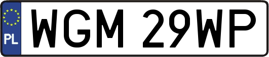 WGM29WP