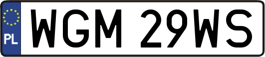 WGM29WS