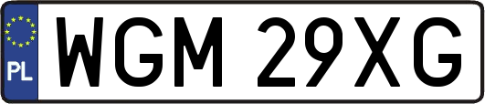WGM29XG