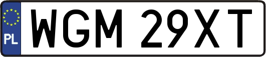 WGM29XT