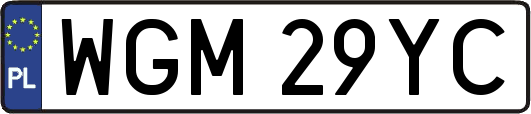 WGM29YC