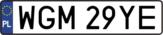 WGM29YE