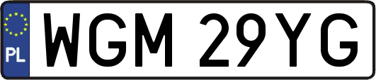 WGM29YG