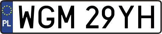 WGM29YH