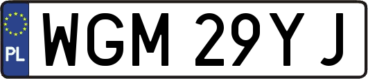 WGM29YJ