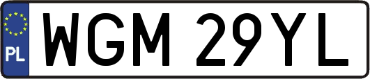 WGM29YL