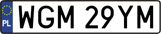 WGM29YM
