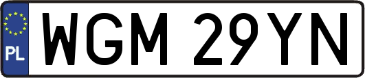 WGM29YN