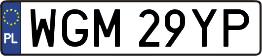 WGM29YP