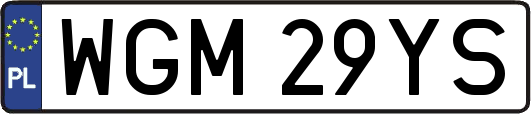 WGM29YS