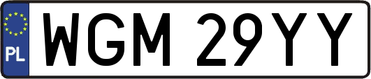 WGM29YY