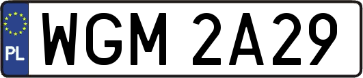 WGM2A29