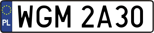 WGM2A30