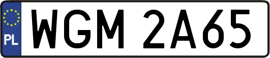 WGM2A65