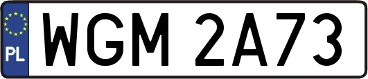 WGM2A73