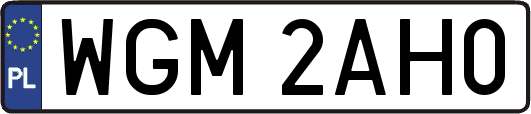 WGM2AH0