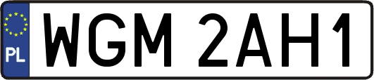 WGM2AH1