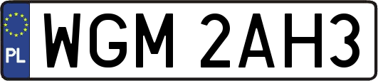 WGM2AH3