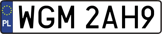 WGM2AH9