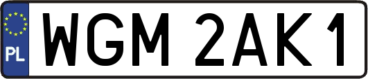 WGM2AK1