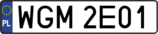 WGM2E01