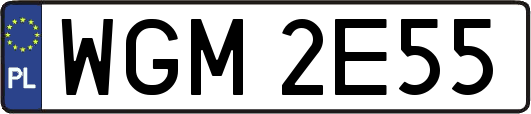 WGM2E55